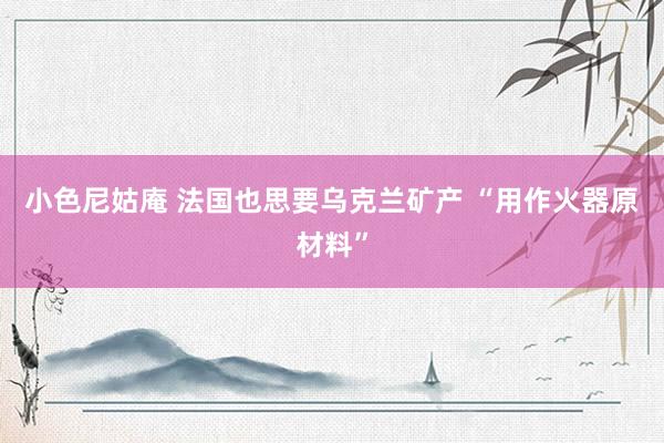 小色尼姑庵 法国也思要乌克兰矿产 “用作火器原材料”