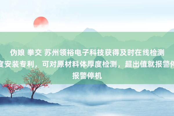 伪娘 拳交 苏州领裕电子科技获得及时在线检测厚度安装专利，可对原材料体厚度检测，超出值就报警停机
