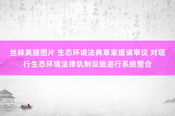 丝袜美腿图片 生态环境法典草案提请审议 对现行生态环境法律轨制设施进行系统整合