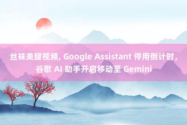 丝袜美腿视频， Google Assistant 停用倒计时，谷歌 AI 助手开启移动至 Gemini