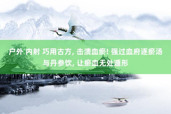 户外 内射 巧用古方， 击溃血瘀! 强过血府逐瘀汤与丹参饮， 让瘀血无处遁形