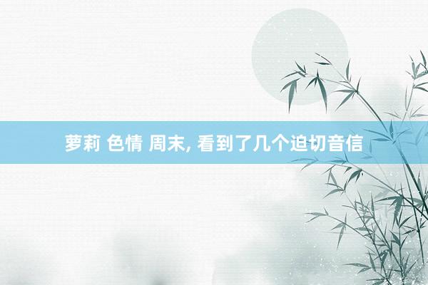 萝莉 色情 周末， 看到了几个迫切音信