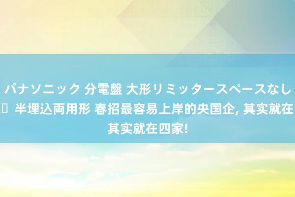 パナソニック 分電盤 大形リミッタースペースなし 露出・半埋込両用形 春招最容易上岸的央国企， 其实就在四家!