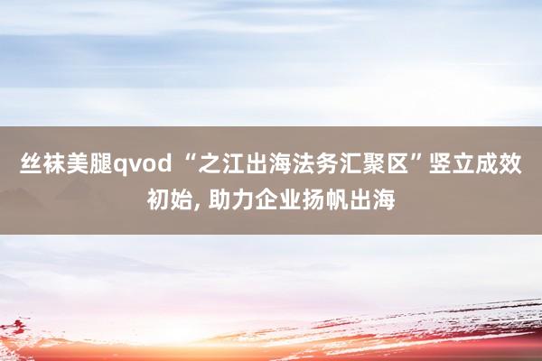 丝袜美腿qvod “之江出海法务汇聚区”竖立成效初始， 助力企业扬帆出海
