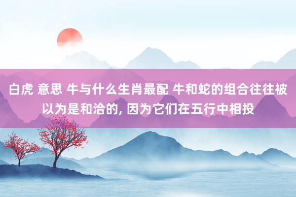白虎 意思 牛与什么生肖最配 牛和蛇的组合往往被以为是和洽的， 因为它们在五行中相投