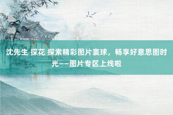 沈先生 探花 探索精彩图片寰球，畅享好意思图时光——图片专区上线啦