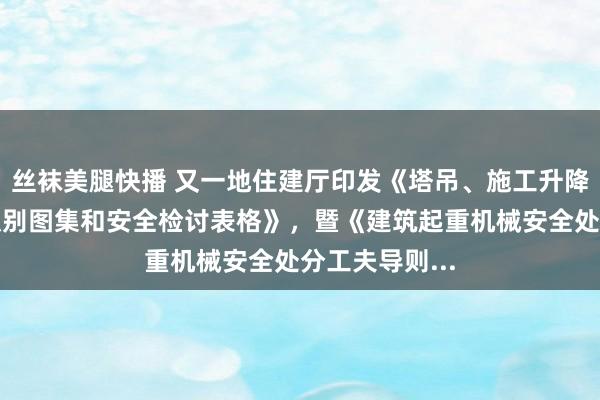 丝袜美腿快播 又一地住建厅印发《塔吊、施工升降机安全隐患识别图集和安全检讨表格》，暨《建筑起重机械安全处分工夫导则...